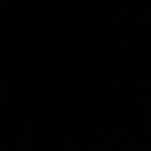 Meet your Posher, Antonia